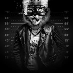 Meet your Posher, Roger